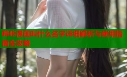 哔咔漫画叫什么名字详细解析与使用指南全攻略