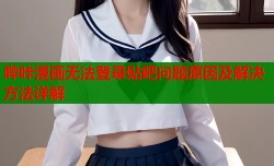 哔咔漫画无法登录贴吧问题原因及解决方法详解
