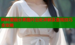 哔咔漫画分类图片出处详解及查找技巧全攻略
