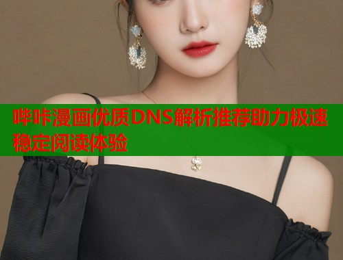 哔咔漫画优质DNS解析推荐助力极速稳定阅读体验  第1张