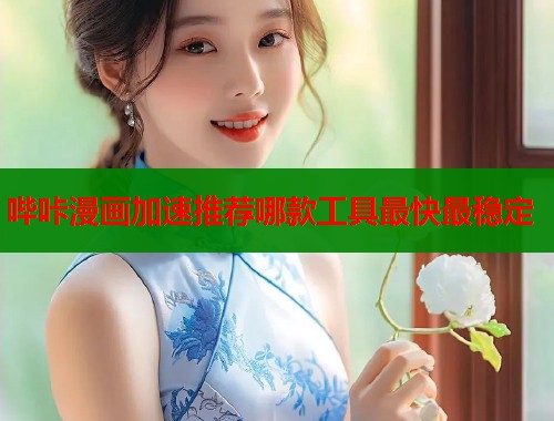 哔咔漫画加速推荐哪款工具最快最稳定  第1张