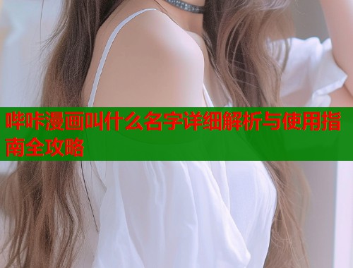 哔咔漫画叫什么名字详细解析与使用指南全攻略  第2张